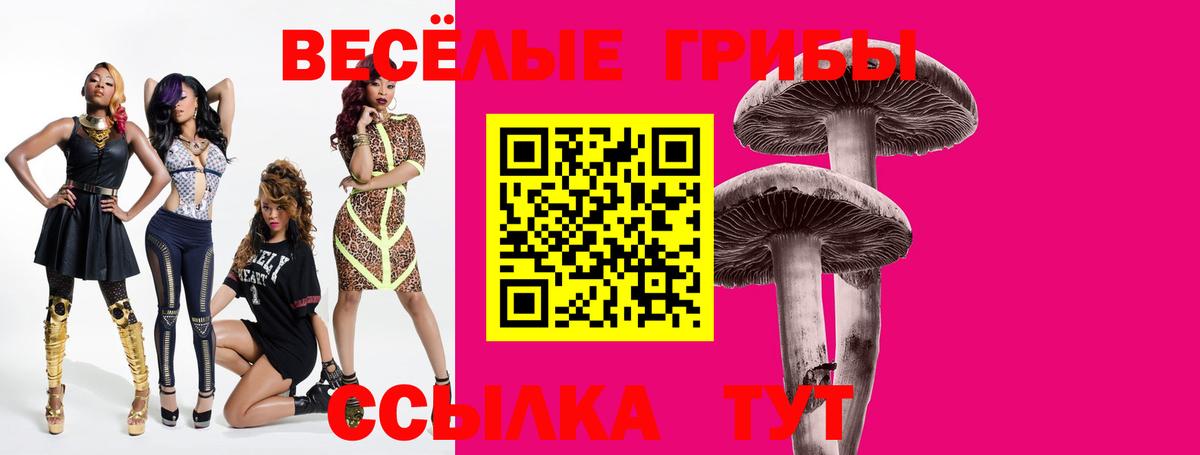 Галлюциногенные грибы GOLDEN TEACHER  дарнет шоп  Калининград  Вход с VPN 